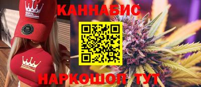 индика Жуковский