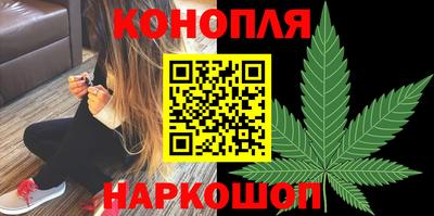 дмт Заводоуковск